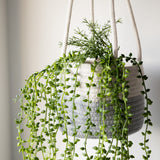 Grey & White Hanging Basket - wholesale