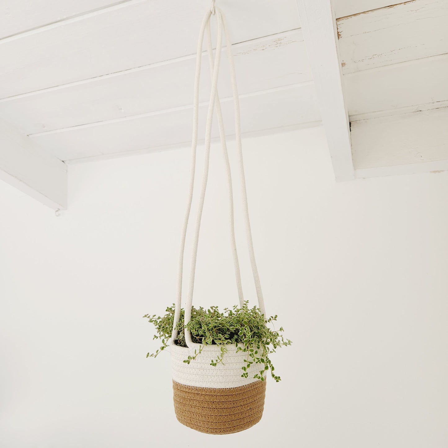 Beige & White Hanging Rope Basket