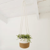 Natural & White Hanging Cotton Rope Planter Basket