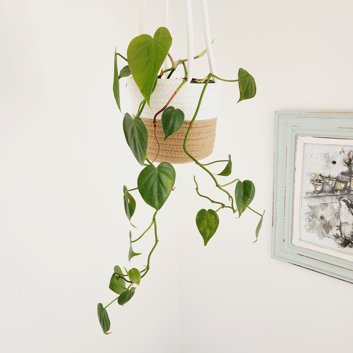 Beige & White Hanging Rope Basket