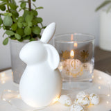 White Ceramic Bunny with Floppy Ear